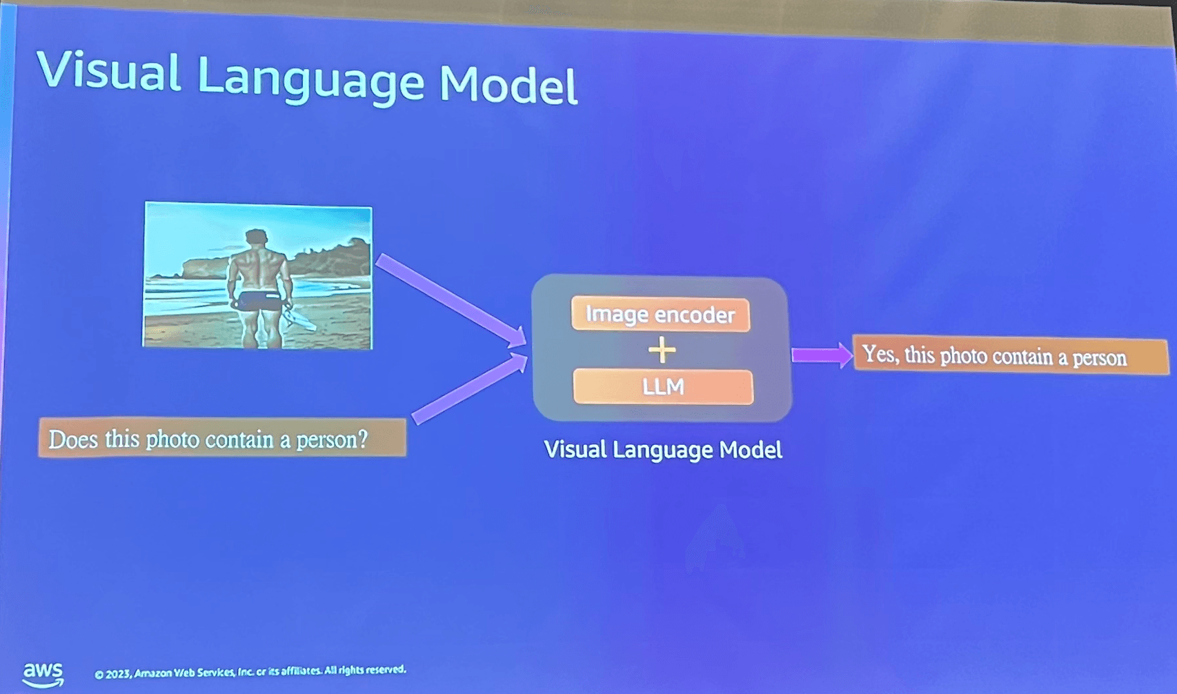 visual-language-model